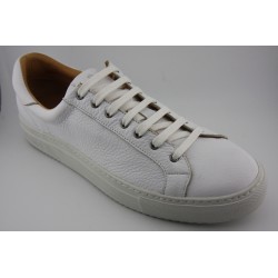 SNEAKER BLUCHER BERWICK MODELO D542PR H151D CIERVO BLANCO PISO GOMA MARGOM KOBE BLANCO