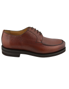 Blucher